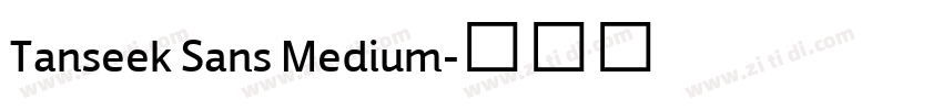 Tanseek Sans Medium字体转换 Tanseek Sans Medium字体转换